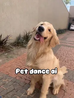 Dance pet ai 