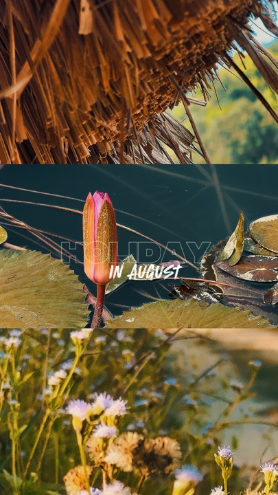 Cinematic holiday 