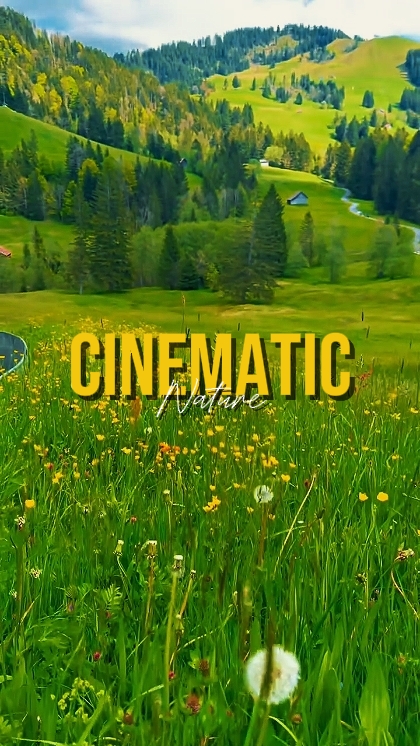 NATURE CINÉMATIQUE