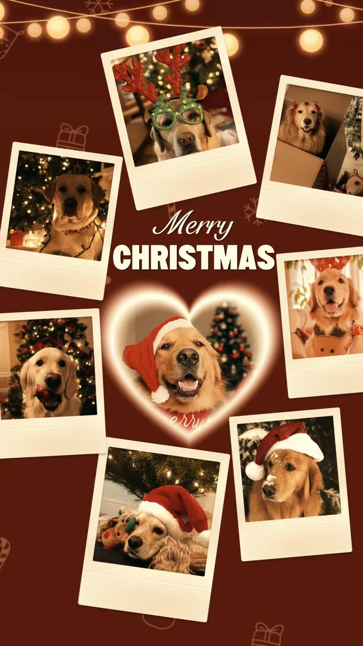 Feliz Navidad Perro 