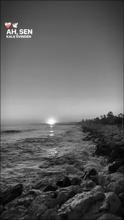 dalıp dalıp gitti mi