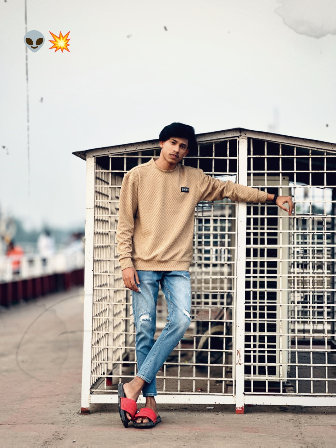 Cover Picture