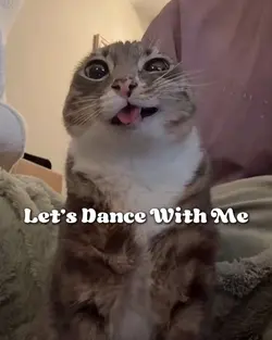 i wanna see u dance