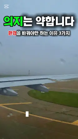 의지는 약합니다