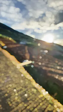 Cinematic dracin