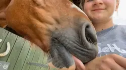 Smallest man who eve