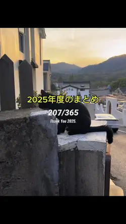 Summary in 2025