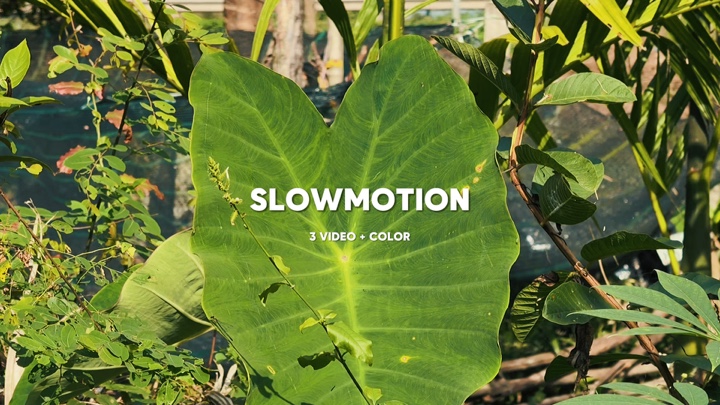 Cinéma vidéo Slow 3