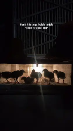 BIBIT SENDIRI ITU
