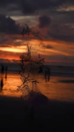 Into Stardust