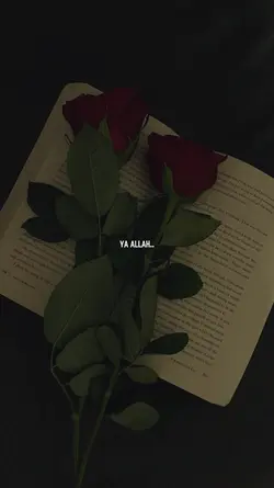 Yallah bahagiakanlah