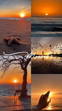 Moments
