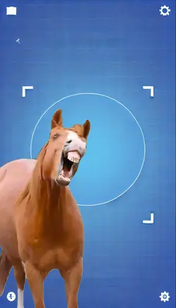 HORSE LAUGH