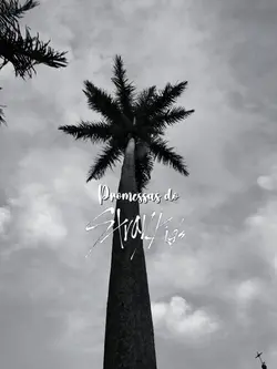 promessas skz