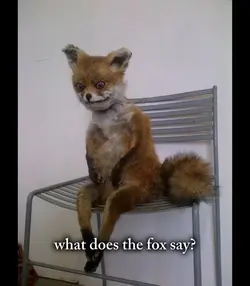 What does fox say π€¨π€¨