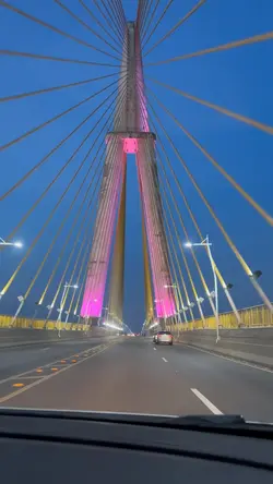 Ponte Cinemática | M