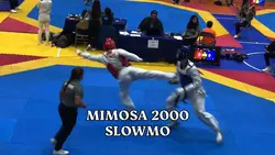 Mimosa 2000 x Slowmo