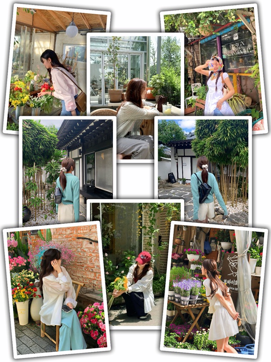 Photos Collage Frame