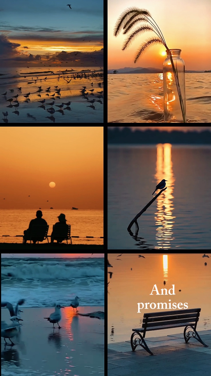 Birds and sunset
