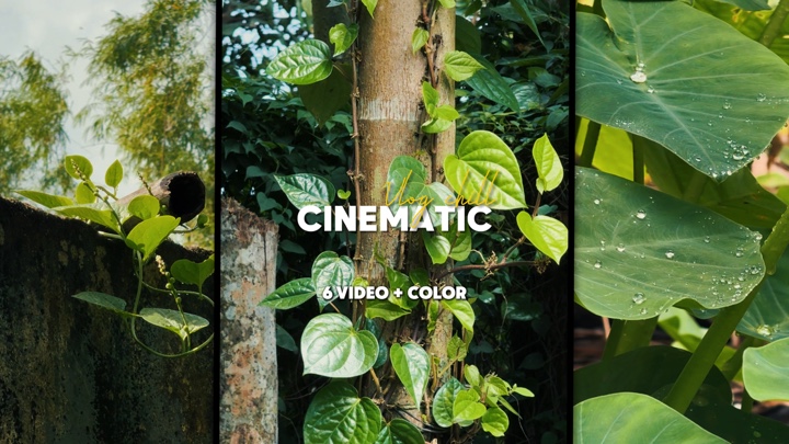 Vlog Cinematic