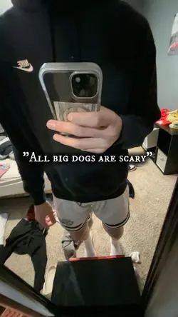 Big dogs