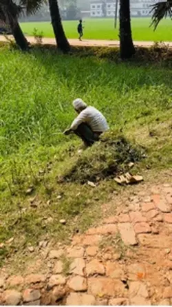 Village Life
