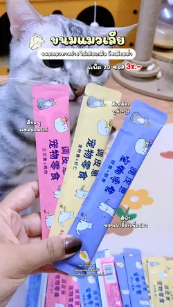 ขนมแมวเลีย 🐱