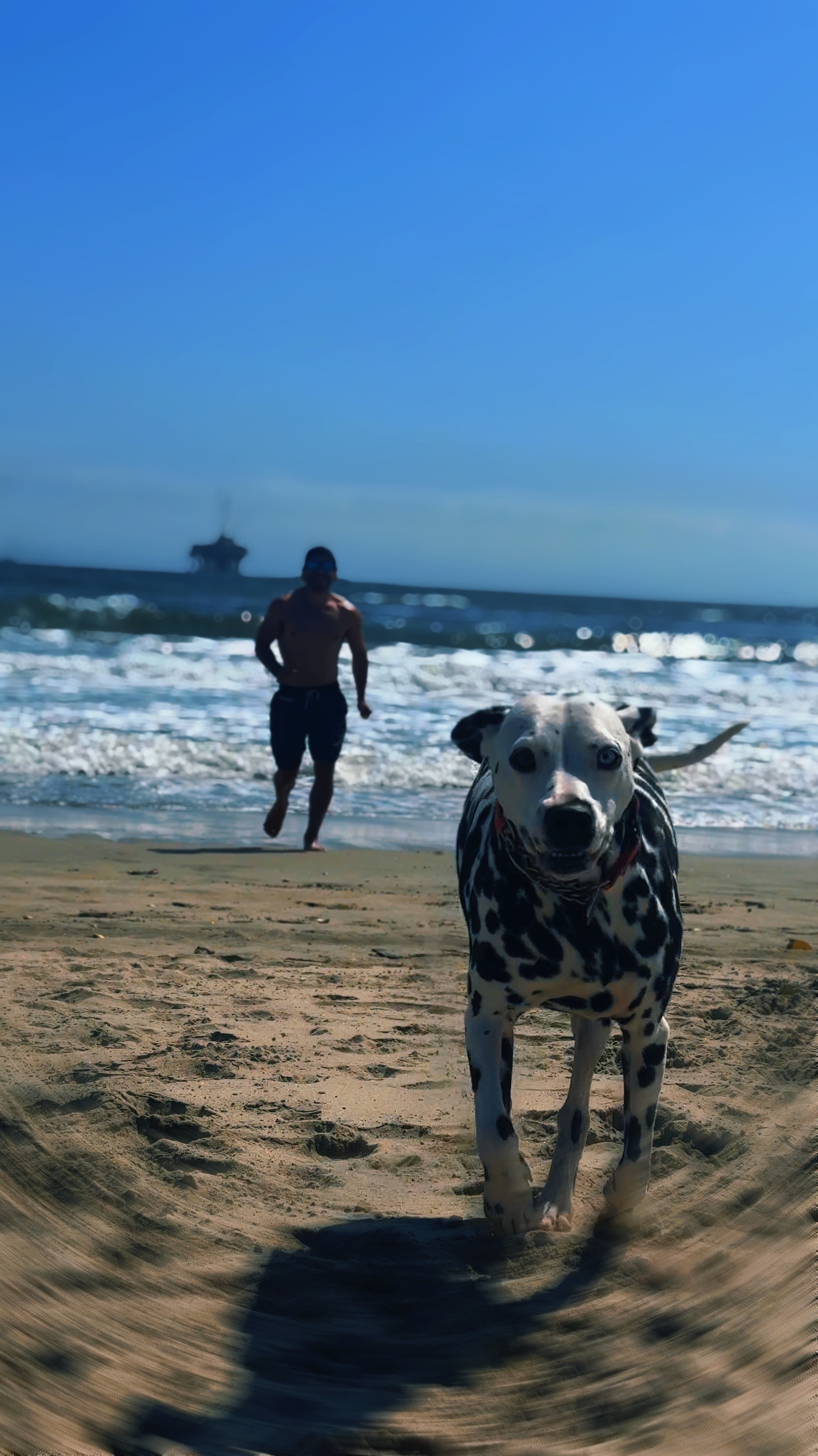 Vibrações de praia de verão