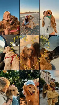 Love my pet 🐾❤️