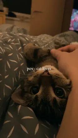 cat lover