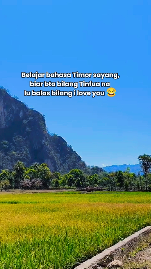 Bljr bhasa Timor syg