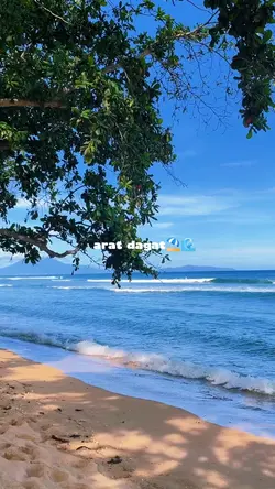 Beach Vibes