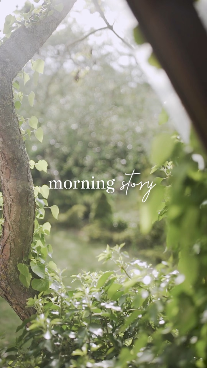 Morning story
