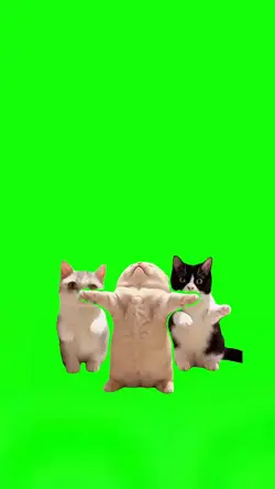 3 Kittens Dancing