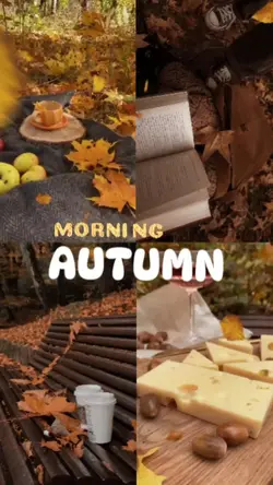 Morning Autumn