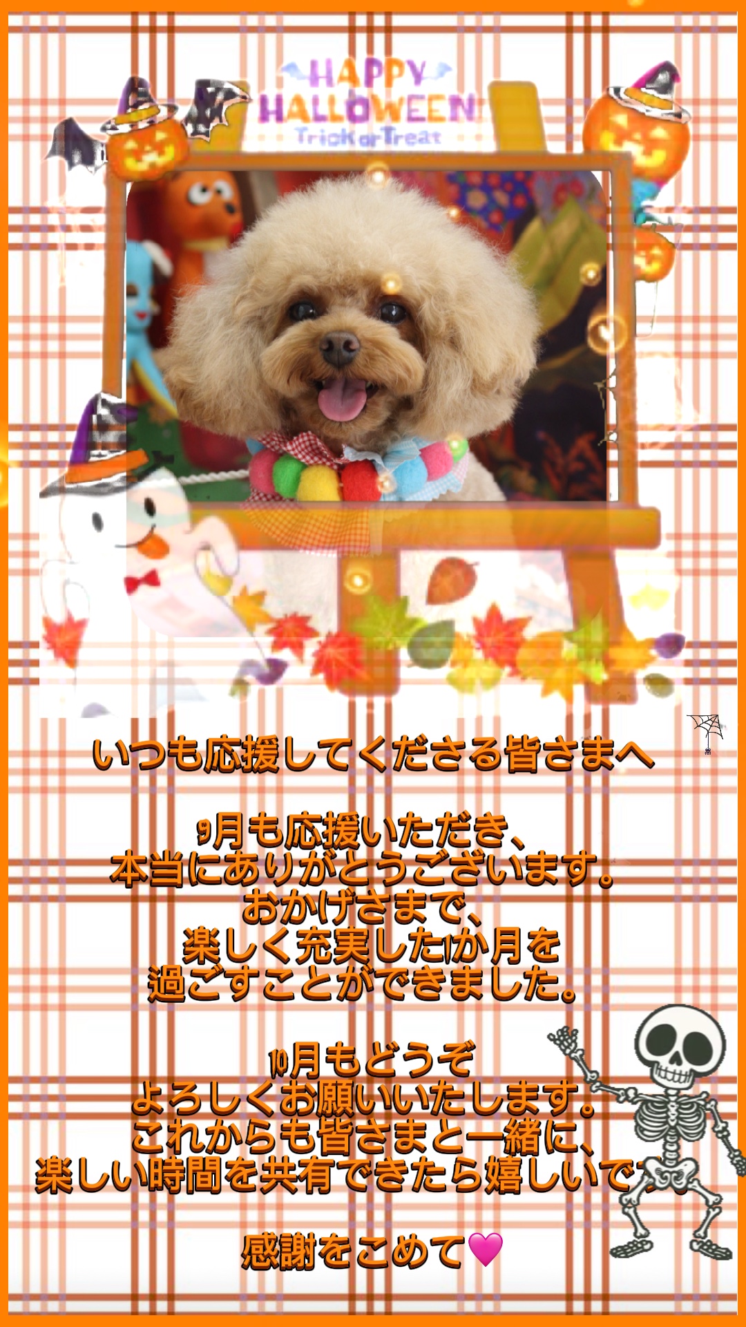 月月생 / いつ✄ しくくくくさा