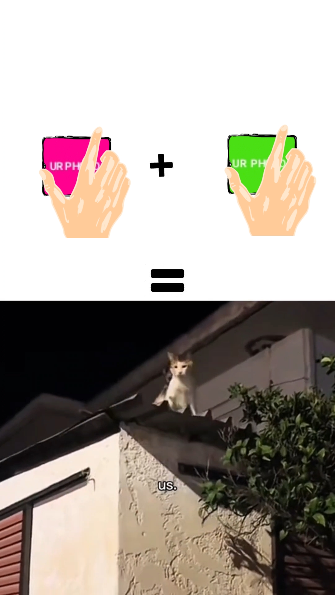 nouveau maître d'édition