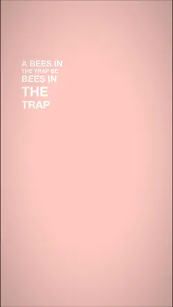bees in the trap