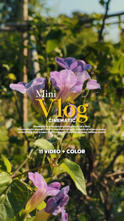 Vlog Cinematic