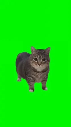 u i i ai o u ii ai