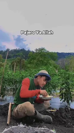 Pajero Ya Allah