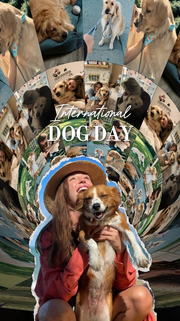 DOG DAY