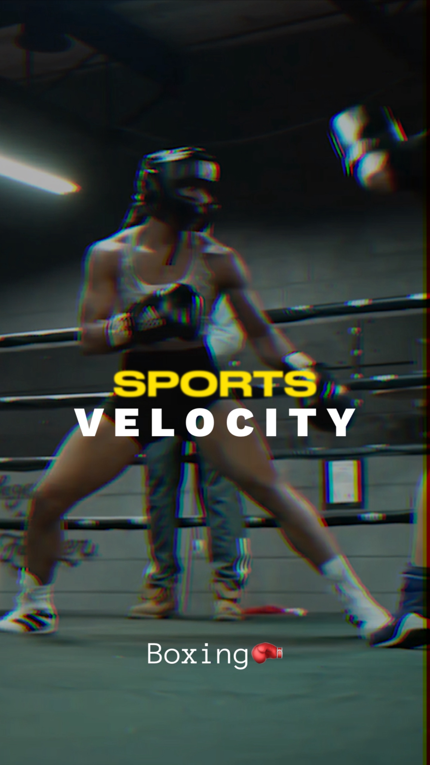 Vitesse sportive🥊