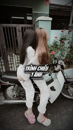 TRÌNH CHIẾU