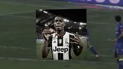 Pogboom