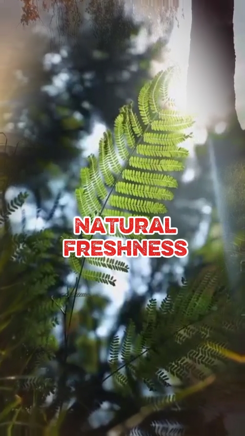 natural freshness 