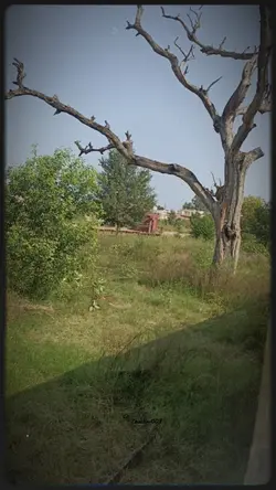 جے ایڈا ڈردا 