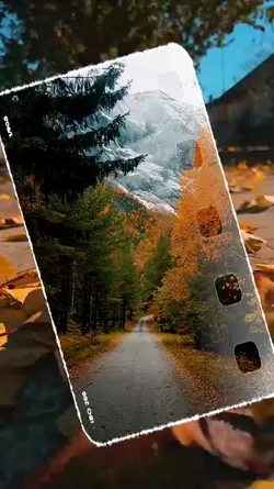Beautiful Moment