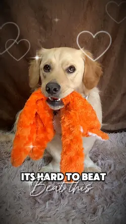 Hard to beat this 💙🩵