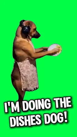 DOING THE DISHES DOG